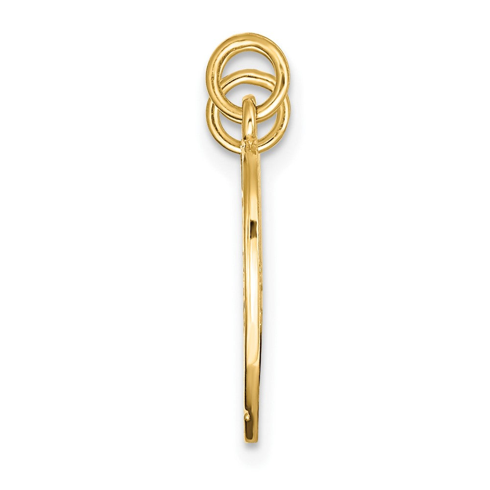 FJC Finejewelers 10 kt Yellow Gold 3 piece Break-apart Big Sis, Sis and Lil Sis Charm 21 x 17 mm