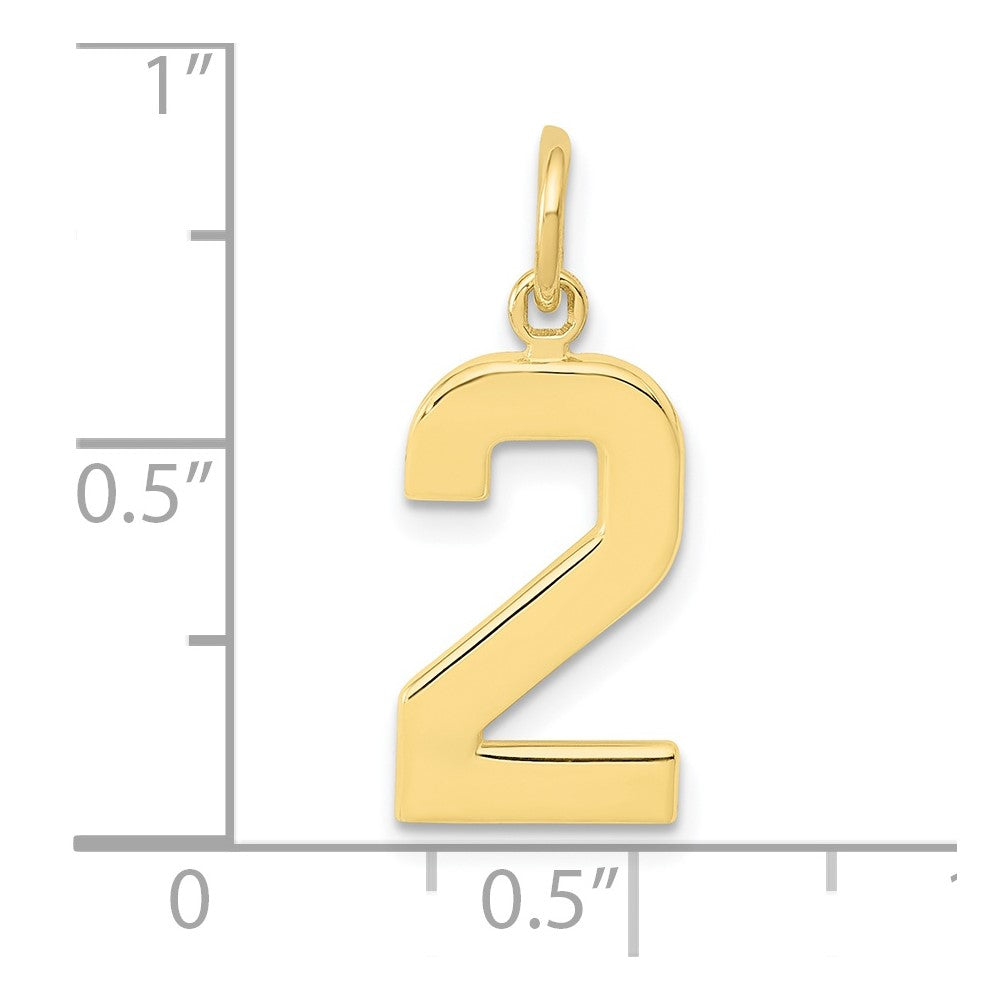 FJC Finejewelers 10 kt Yellow Gold Casted Medium Polished Number 2 Charm 22 x 9 mm