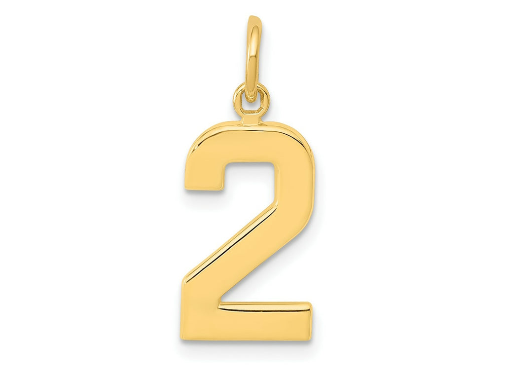 FJC Finejewelers 10 kt Yellow Gold Casted Medium Polished Number 2 Charm 22 x 9 mm