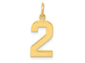 FJC Finejewelers 10 kt Yellow Gold Casted Medium Polished Number 2 Charm 22 x 9 mm
