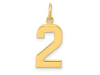 FJC Finejewelers 10 kt Yellow Gold Casted Medium Polished Number 2 Charm 22 x 9 mm