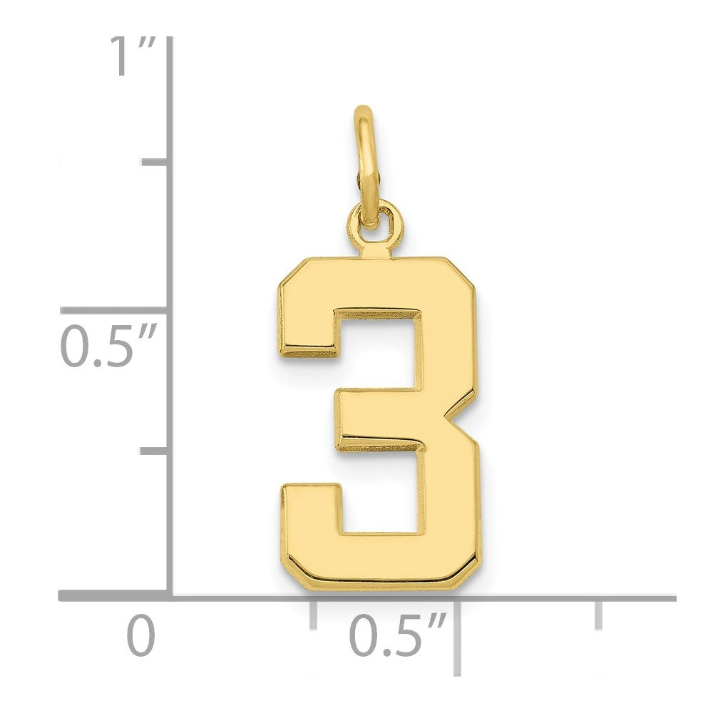 FJC Finejewelers 10 kt Yellow Gold Casted Medium Polished Number 3 Charm 22 x 9 mm
