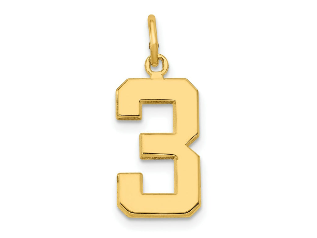 FJC Finejewelers 10 kt Yellow Gold Casted Medium Polished Number 3 Charm 22 x 9 mm
