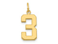 FJC Finejewelers 10 kt Yellow Gold Casted Medium Polished Number 3 Charm 22 x 9 mm