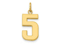 FJC Finejewelers 10 kt Yellow Gold Casted Medium Polished Number 5 Charm 22 x 9 mm
