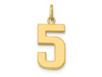 FJC Finejewelers 10 kt Yellow Gold Casted Medium Polished Number 5 Charm 22 x 9 mm
