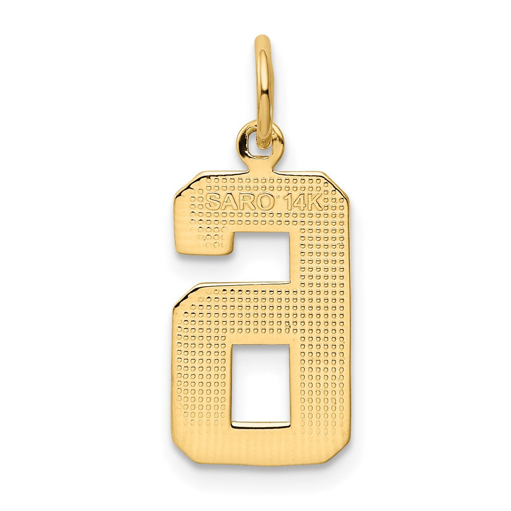 FJC Finejewelers 10 kt Yellow Gold Casted Medium Polished Number 6 Charm 22 x 9 mm