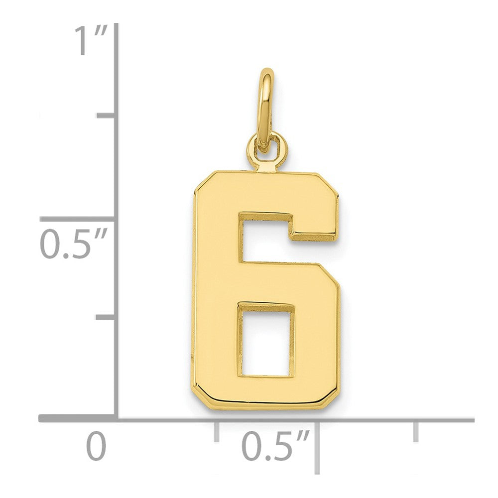 FJC Finejewelers 10 kt Yellow Gold Casted Medium Polished Number 6 Charm 22 x 9 mm