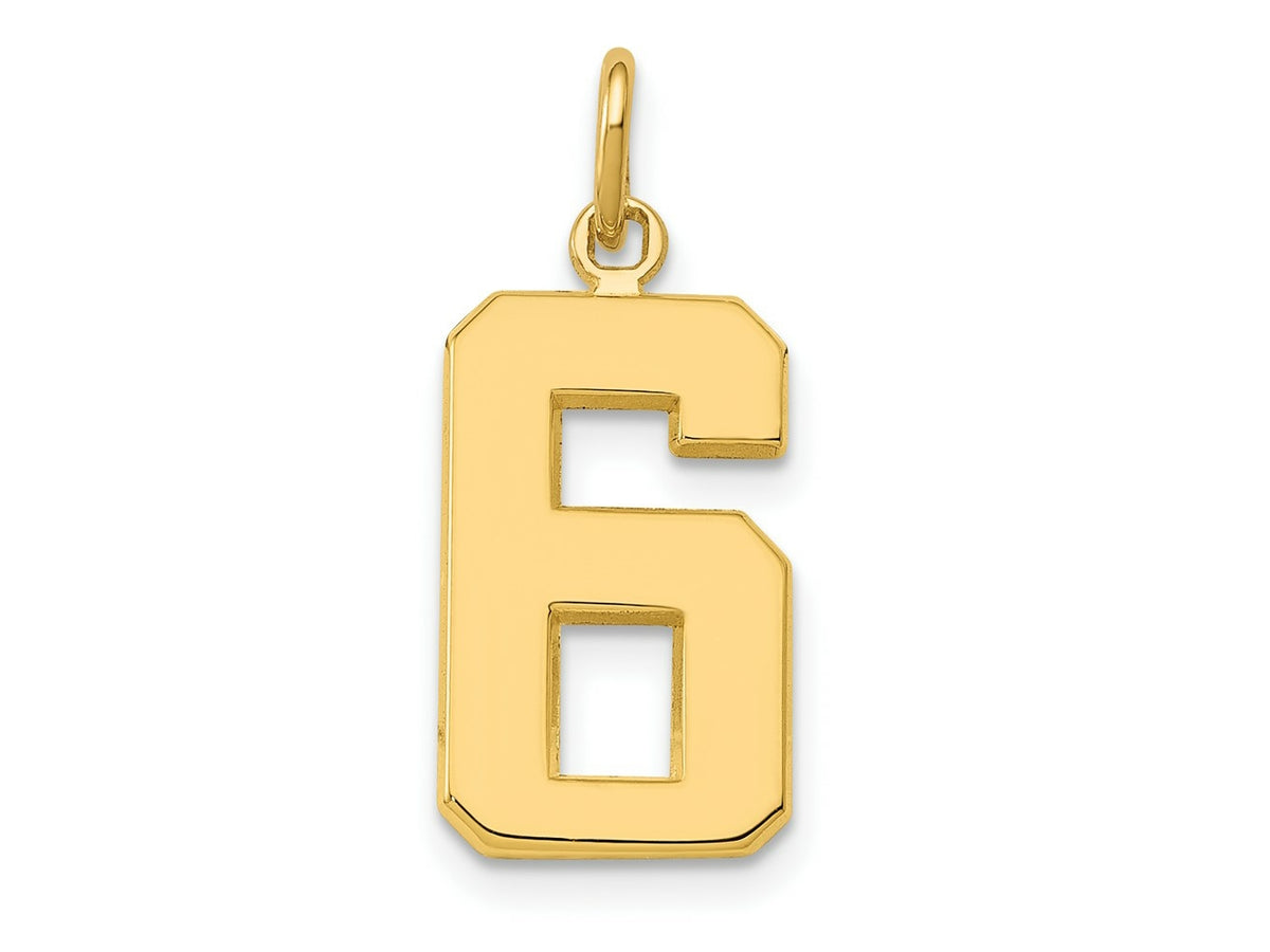 FJC Finejewelers 10 kt Yellow Gold Casted Medium Polished Number 6 Charm 22 x 9 mm