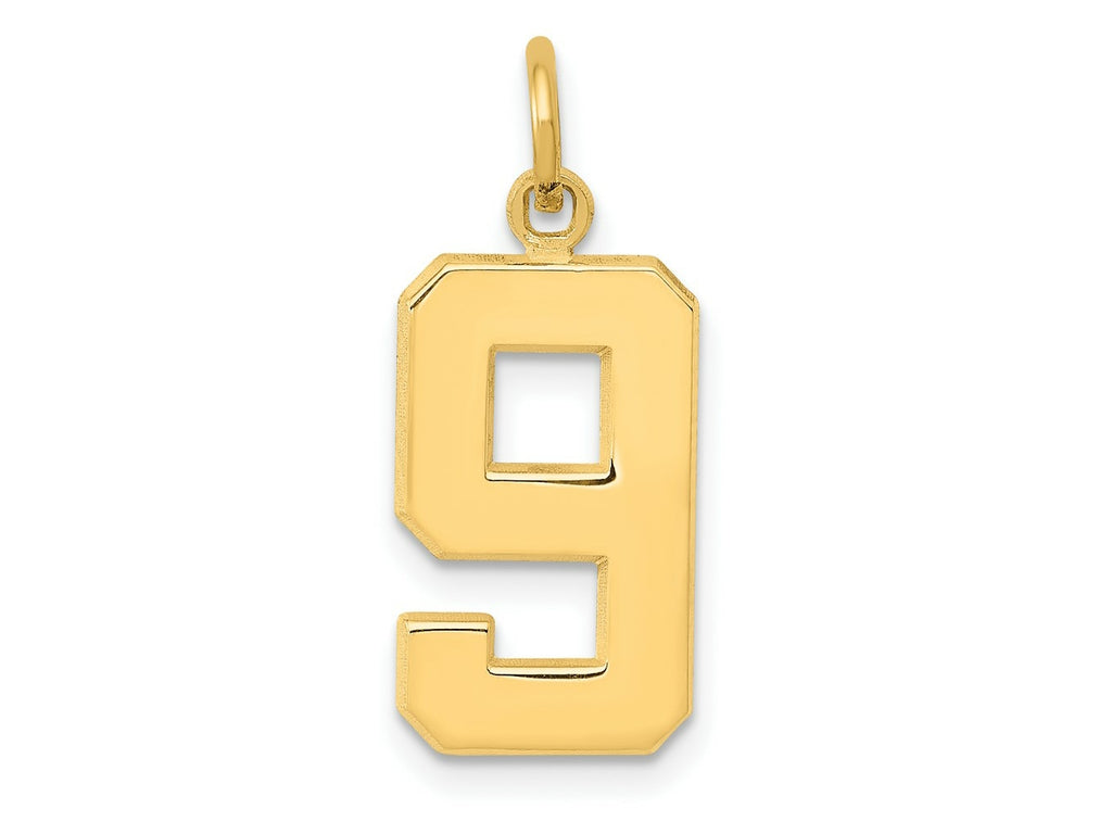 FJC Finejewelers 10 kt Yellow Gold Casted Medium Polished Number 9 Charm 22 x 9 mm