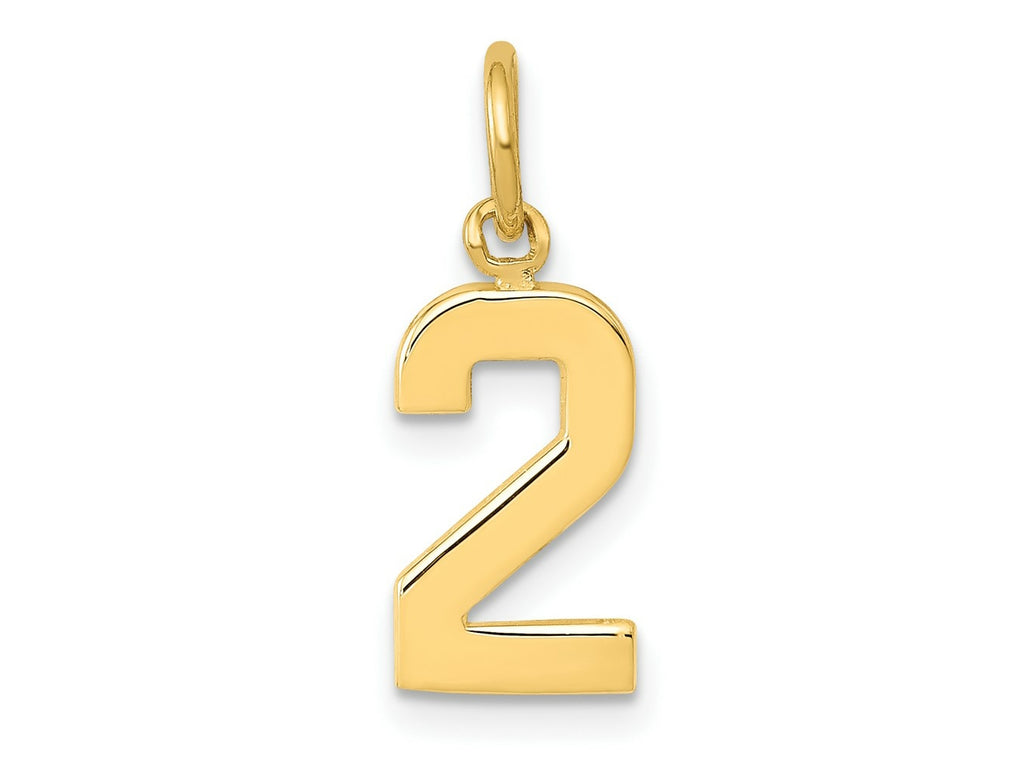 FJC Finejewelers 10 kt Yellow Gold Casted Small Polished Number 2 Charm 20 x 7 mm