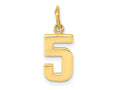 FJC Finejewelers 10 kt Yellow Gold Casted Small Polished Number 5 Charm 20 x 7 mm