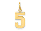 FJC Finejewelers 10 kt Yellow Gold Casted Small Polished Number 5 Charm 20 x 7 mm