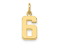 FJC Finejewelers 10 kt Yellow Gold Casted Small Polished Number 6 Charm 20 x 7 mm