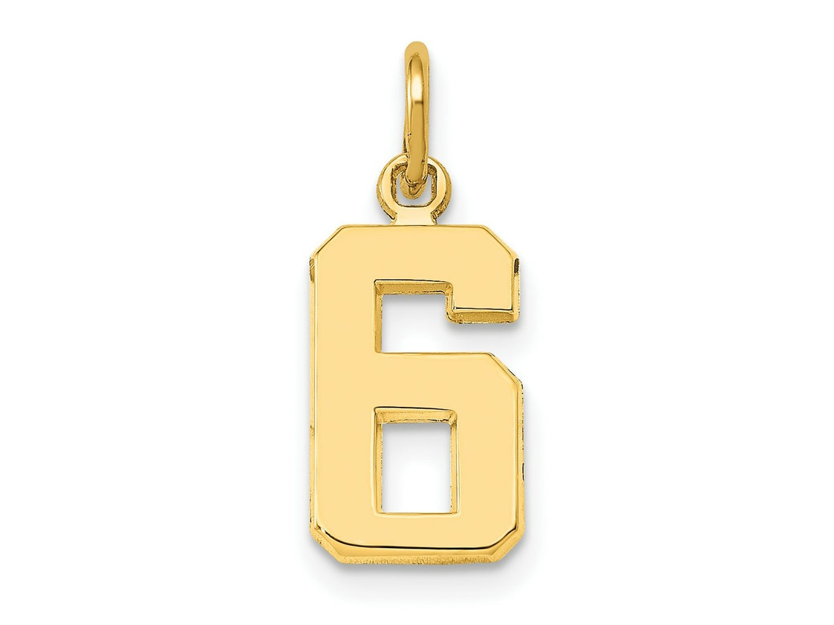 FJC Finejewelers 10 kt Yellow Gold Casted Small Polished Number 6 Charm 20 x 7 mm