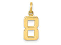 FJC Finejewelers 10 kt Yellow Gold Casted Small Polished Number 8 Charm 20 x 7 mm