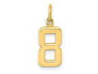 FJC Finejewelers 10 kt Yellow Gold Casted Small Polished Number 8 Charm 20 x 7 mm