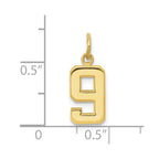 FJC Finejewelers 10 kt Yellow Gold Casted Small Polished Number 9 Charm 20 x 7 mm