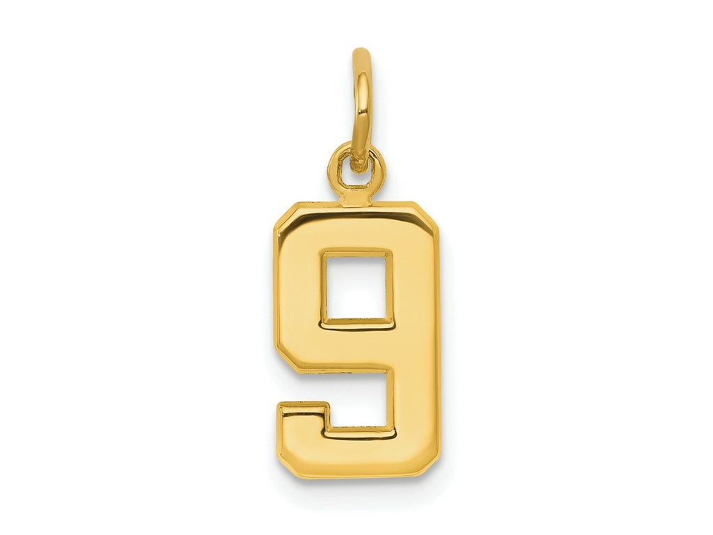 FJC Finejewelers 10 kt Yellow Gold Casted Small Polished Number 9 Charm 20 x 7 mm