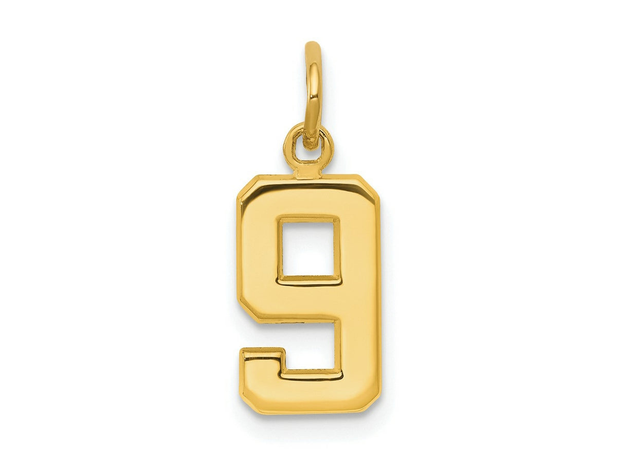 FJC Finejewelers 10 kt Yellow Gold Casted Small Polished Number 9 Charm 20 x 7 mm