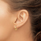 FJC Finejewelers 10 kt Yellow Gold Polished 2mm Lightweight Tube Hoop Earrings 13 mm x 12 mm