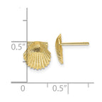 FJC Finejewelers 10 kt Yellow Gold Button Scallop Shell Post Earrings 9 mm x 9 mm