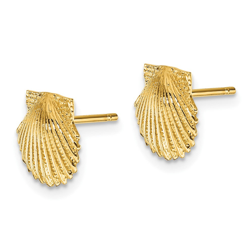 FJC Finejewelers 10 kt Yellow Gold Button Scallop Shell Post Earrings 9 mm x 9 mm