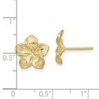 FJC Finejewelers 10 kt Yellow Gold Button Plumeria Flower Post Earrings 11 mm x 11 mm