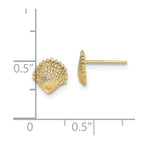 FJC Finejewelers 10 kt Yellow Gold Button Scallop Shell Post Earrings 7 mm
