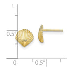 FJC Finejewelers 10 kt Yellow Gold Button Scallop Shell Post Earrings 8 mm x 8 mm