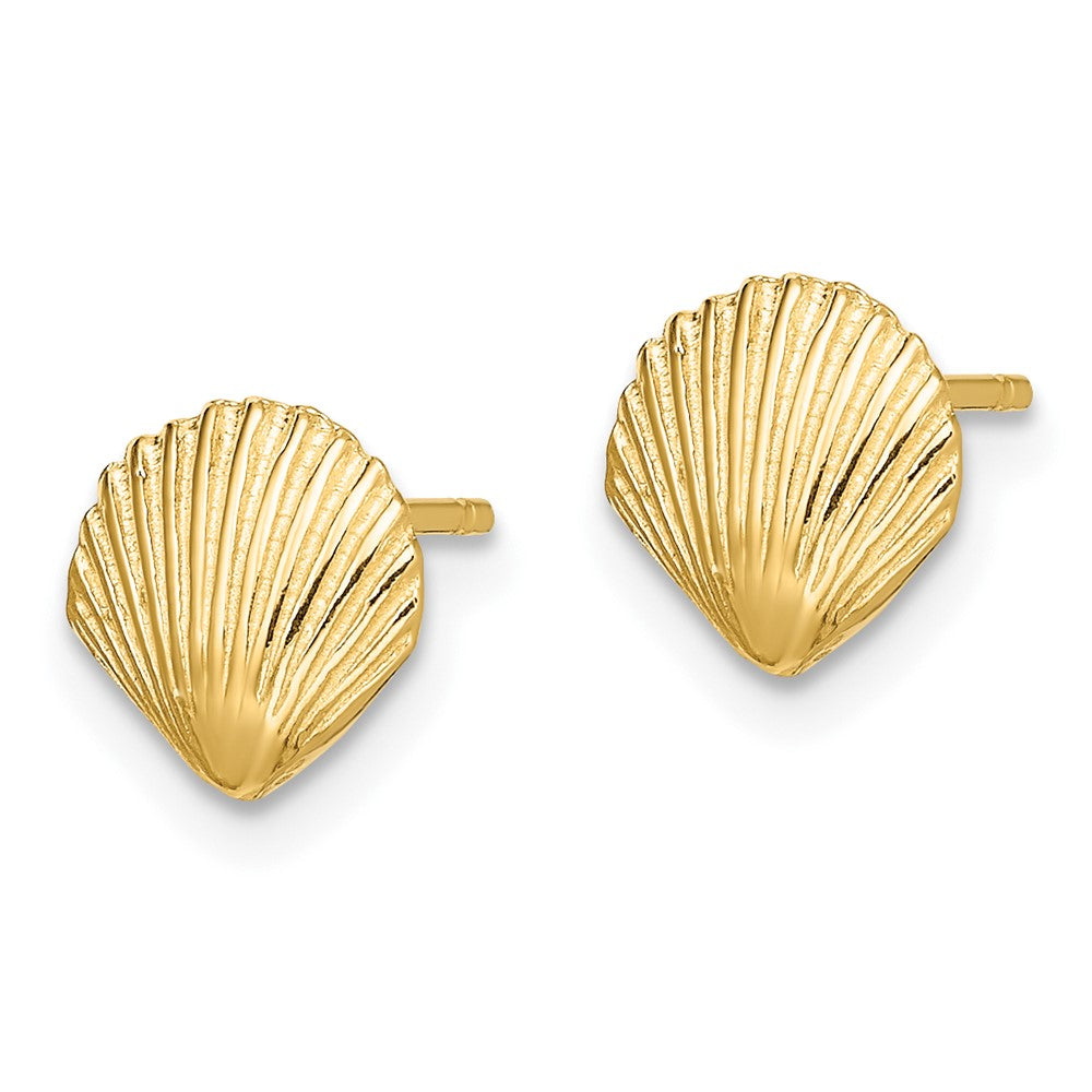 FJC Finejewelers 10 kt Yellow Gold Button Scallop Shell Post Earrings 8 mm x 8 mm