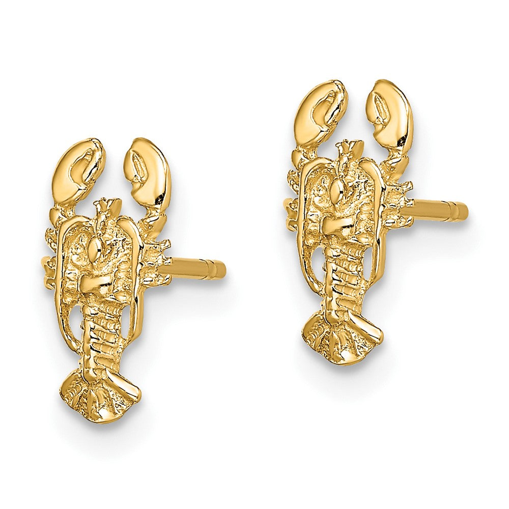 FJC Finejewelers 10 kt Yellow Gold Button 2-D Lobster Post Earrings 10 mm x 5 mm