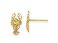 FJC Finejewelers 10 kt Yellow Gold Button 2-D Lobster Post Earrings 10 mm x 5 mm