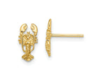 FJC Finejewelers 10 kt Yellow Gold Button 2-D Lobster Post Earrings 10 mm x 5 mm