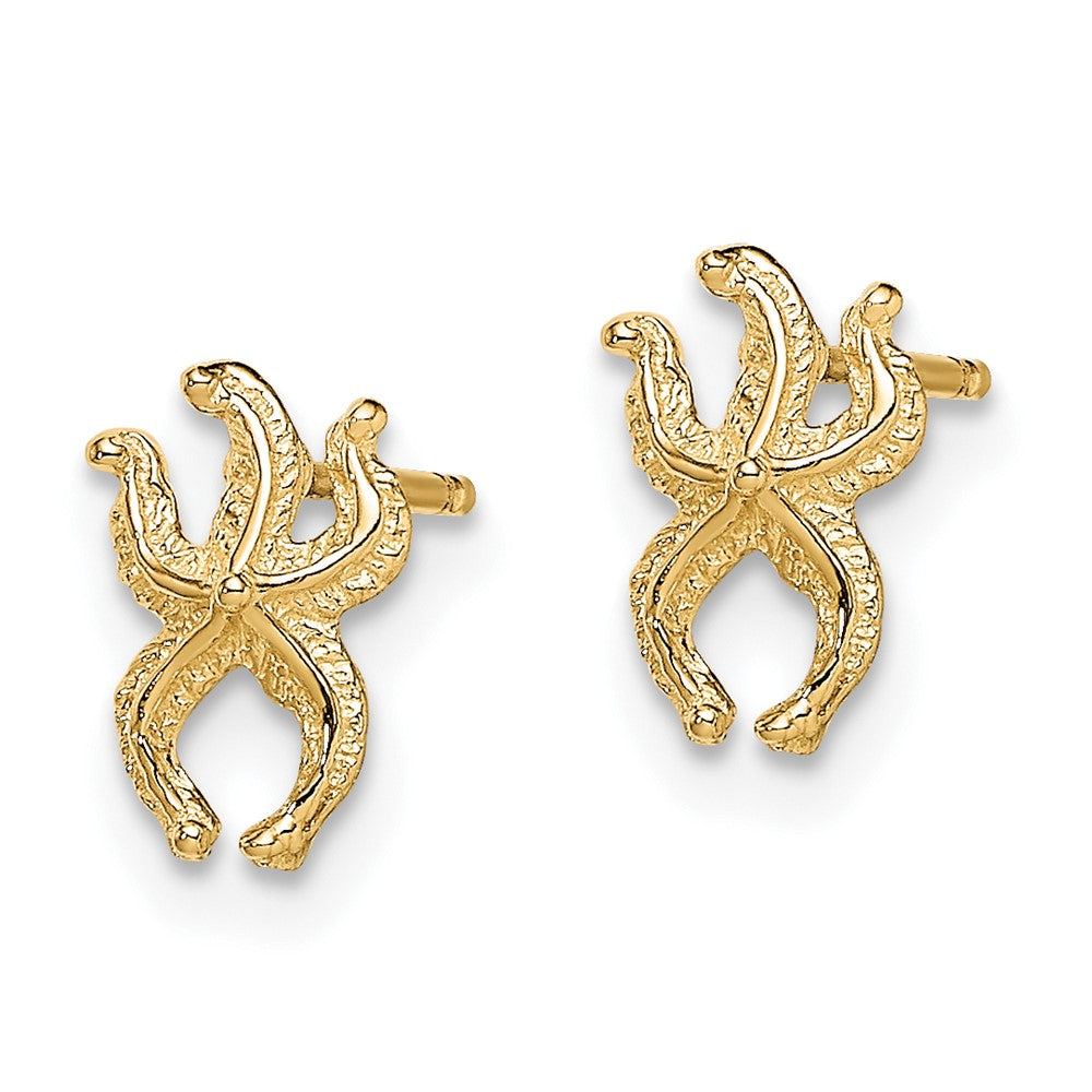 FJC Finejewelers 10 kt Yellow Gold Button Mini Starfish Post Earrings 8 mm x 5 mm