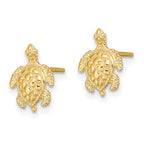 FJC Finejewelers 10 kt Yellow Gold Button 2-D Textured Sea Turtle Post Earrings 11 mm x 8 mm