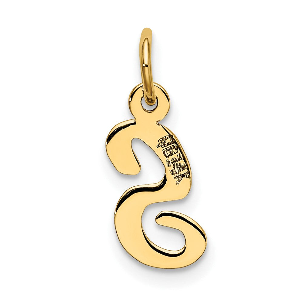 FJC Finejewelers 10 kt Yellow Gold Small Script Initial S Charm 17 x 11 mm