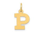 FJC Finejewelers 10 kt Yellow Gold Small Block Initial P Charm 18 x 12 mm