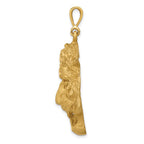 FJC Finejewelers 10 kt Yellow Gold Tigers Head Charm 45 x 31 mm