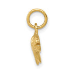 FJC Finejewelers 10 kt Yellow Gold Fish Charm 16 x 24 mm