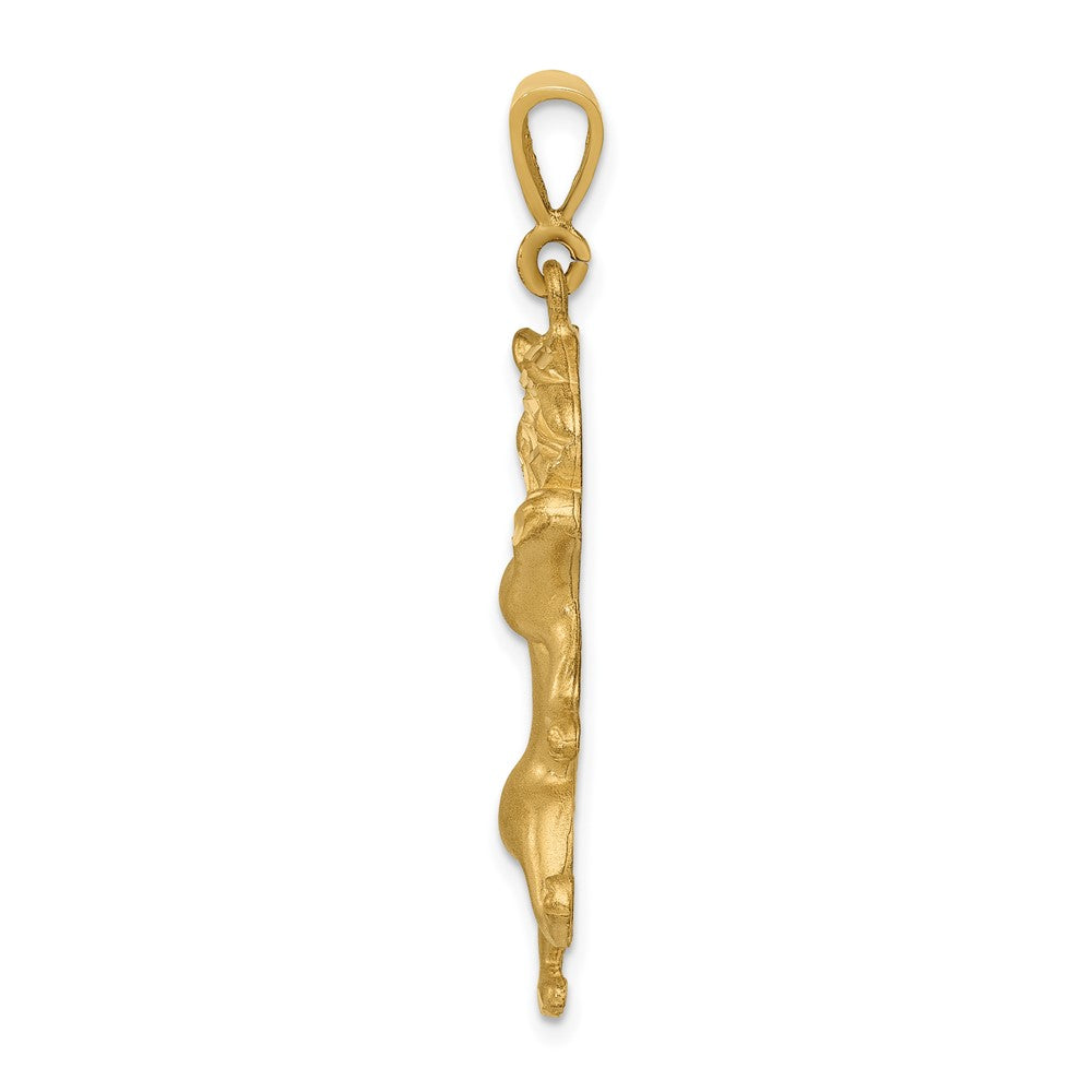FJC Finejewelers 10 kt Yellow Gold Leo Zodiac Charm 40 x 15 mm
