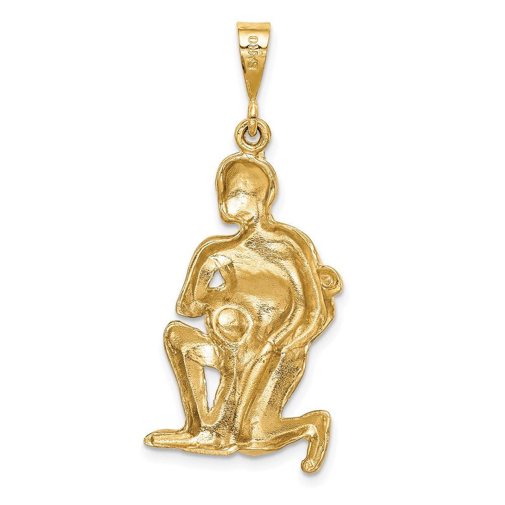 FJC Finejewelers 10 kt Yellow Gold Satin Aquarius Zodiac Charm 40 x 15 mm