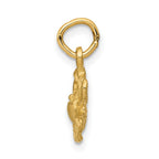 FJC Finejewelers 10 kt Yellow Gold Cancer Zodiac Charm 20 x 10 mm