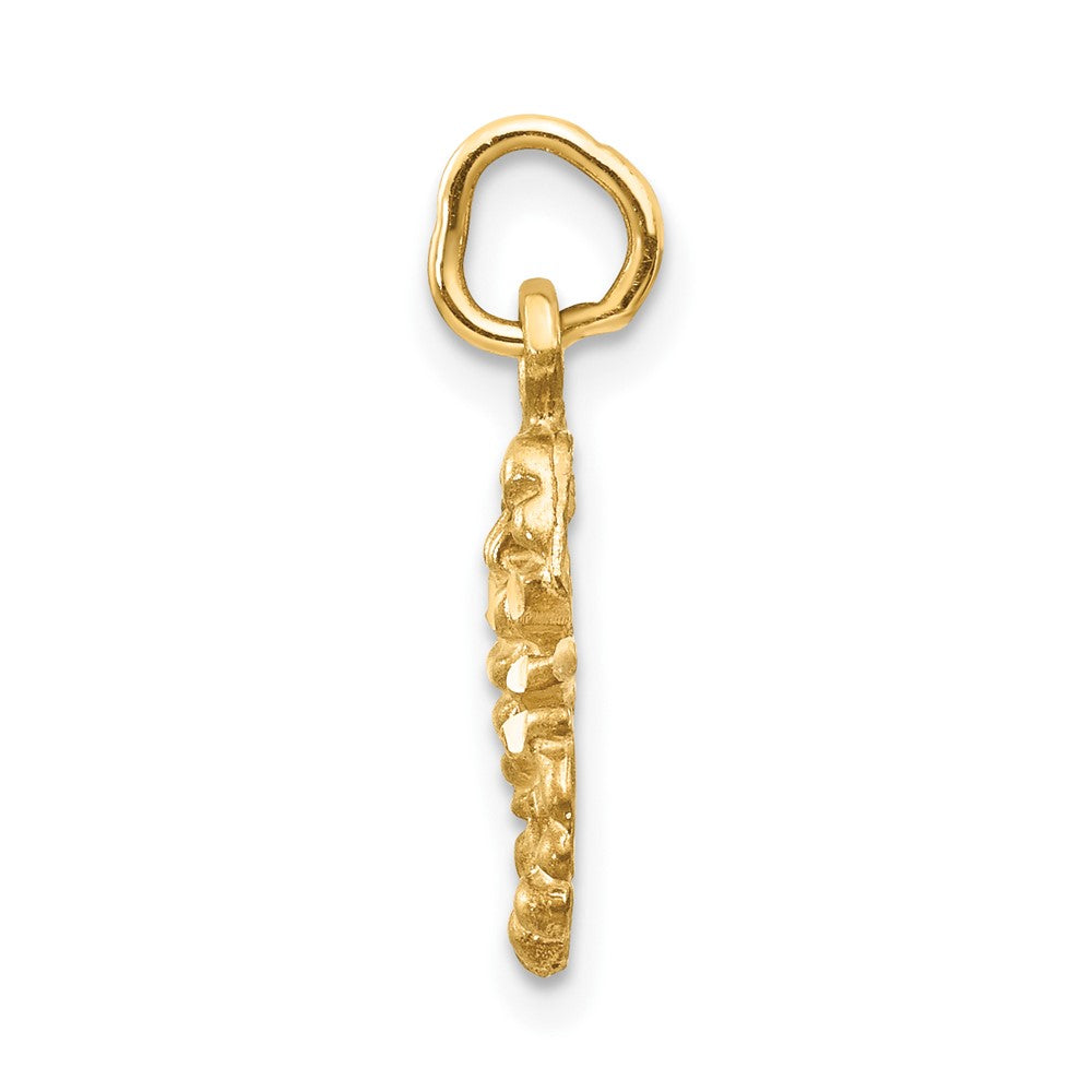 FJC Finejewelers 10 kt Yellow Gold Scorpio Zodiac Charm 20 x 10 mm