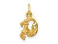FJC Finejewelers 10 kt Yellow Gold Capricorn Zodiac Charm 18 x 10 mm