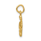 FJC Finejewelers 10 kt Yellow Gold Aquarius Zodiac Charm 20 x 8 mm
