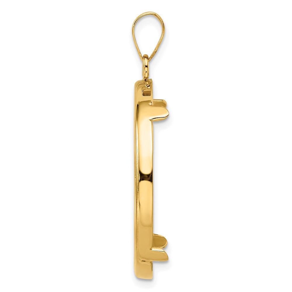 FJC Finejewelers 14 kt Yellow Gold Polished 27.0mm Prong Coin Bezel Pendant