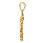 FJC Finejewelers 14 kt Yellow Gold Rope 13.0mm x 1.1mm Screw Top Coin Bezel Pendant