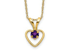 FJC Finejewelers 14 kt Yellow Gold Rope 3mm Amethyst Heart Birthstone Necklace 15 Inches x 6 mm