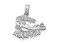FJC Finejewelers 14 kt White Gold WG AQUARIUS Zodiac Charm 17 x 16 mm